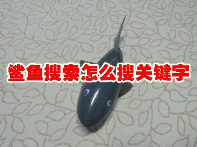 鲨鱼搜索软件的功能