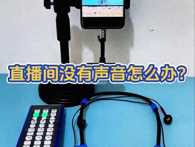 直播没有声卡可以放音乐吗