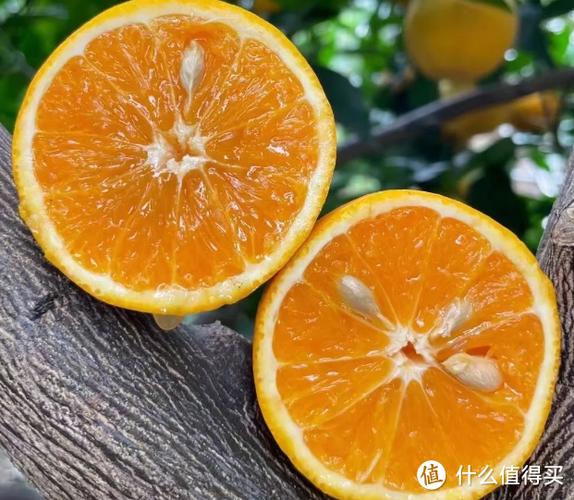 鼻涕橙色像橙子汁要警惕