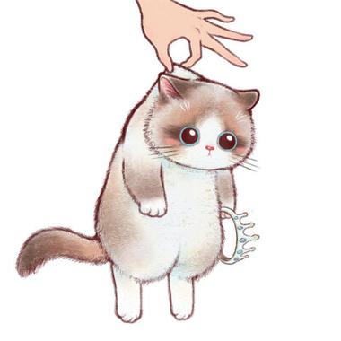 拎猫入住漫画免费观看下拉式缩略图