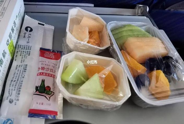 飞机上可以带吃的食物和水果吗