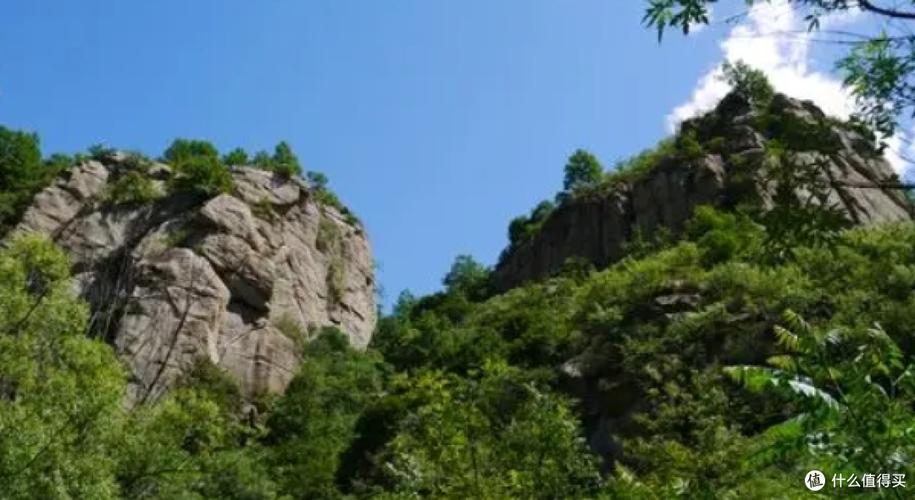 精灵谷spiritvalley下载截图