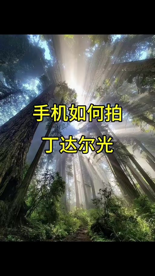 手机如何拍摄丁达尔效应
