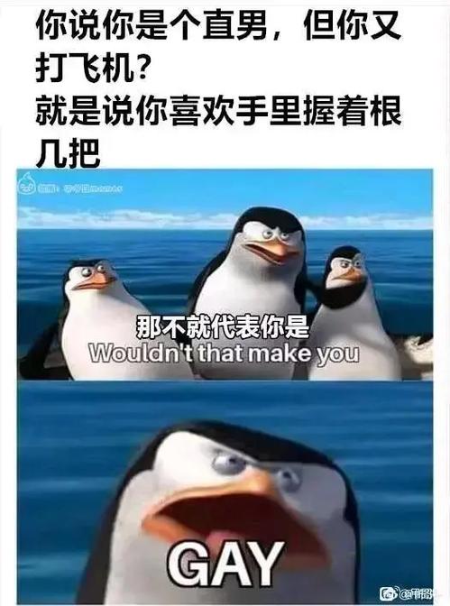 抖音的梗有哪些