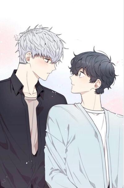 冬天之后的樱花漫画类别
