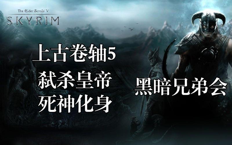 上古卷轴5黑暗兄弟入会杀谁