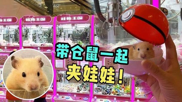 娃娃机里面的小仓鼠