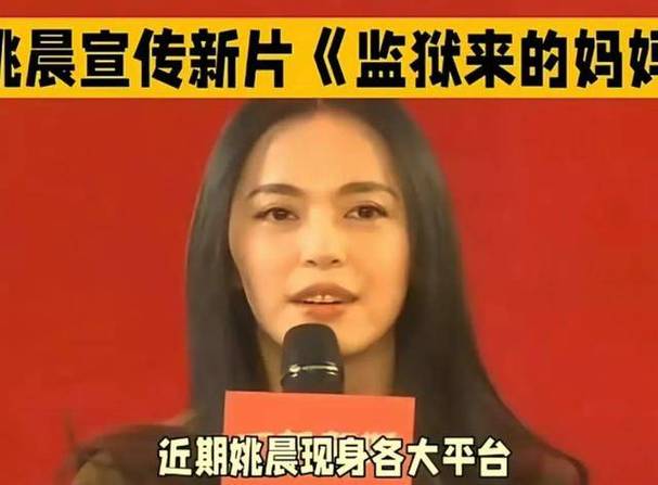 姚晨被质疑洗白罪犯