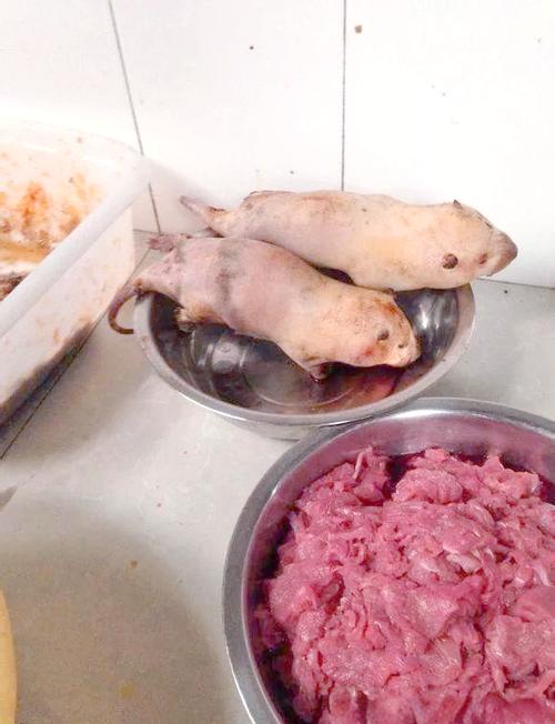 老鼠肉能吃吗对身体哪些危害