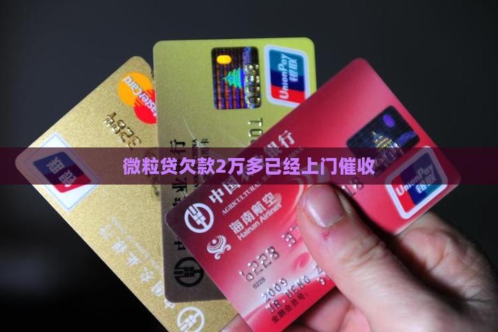微粒贷两万逾期一年扣的钱是什么截图