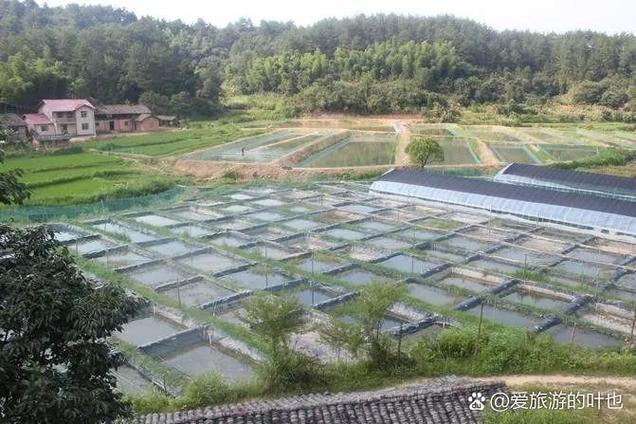 农村致富项目养殖图标
