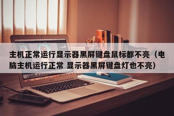 开机一直黑屏键盘鼠标灯不亮缩略图