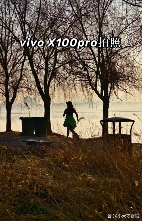 vivo超微距怎么拍照