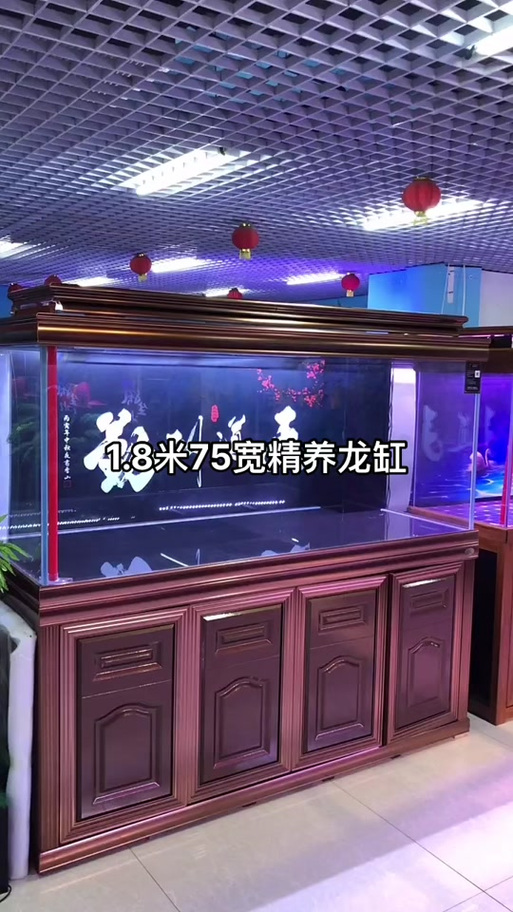 金龙鱼缸底色用哪种好