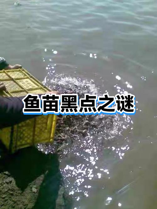 苹果屏幕两边有6个黑点缩略图