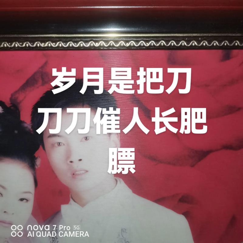 用杀猪刀比喻岁月的句子