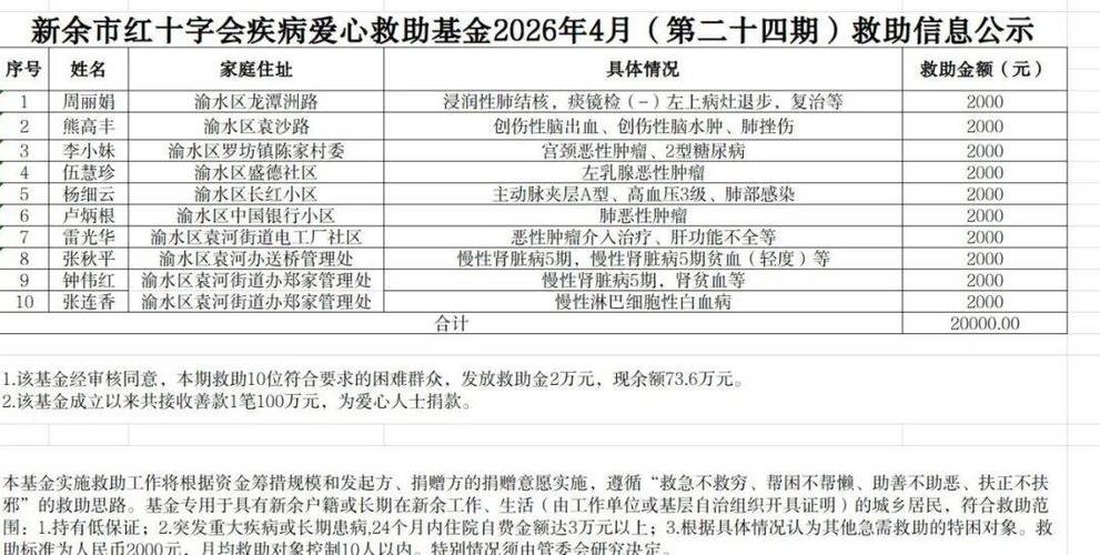 怎样申请红十字会大病救助基金