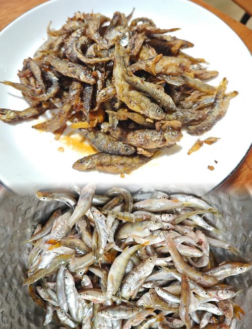 小鱼鱼家常事