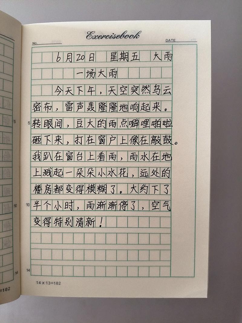 日记版本