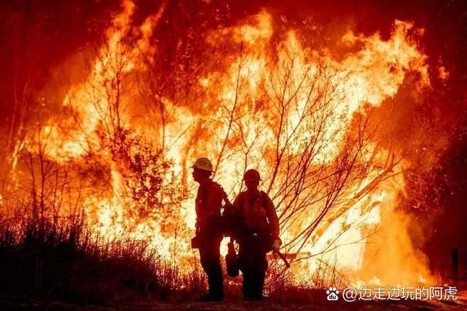森林困难和普通的区别