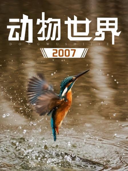 动物世界 纪录片
