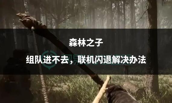 森林联机为什么进不去