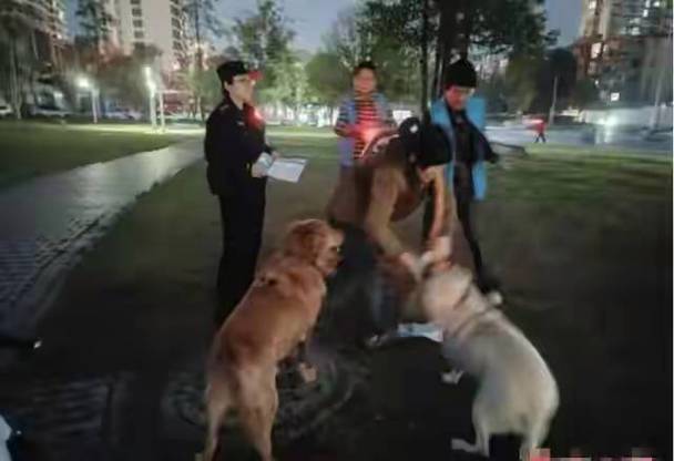 大量养狗卖狗犯法吗