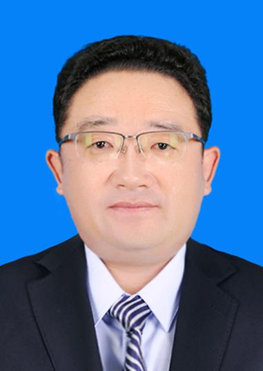 唐文的工作经历