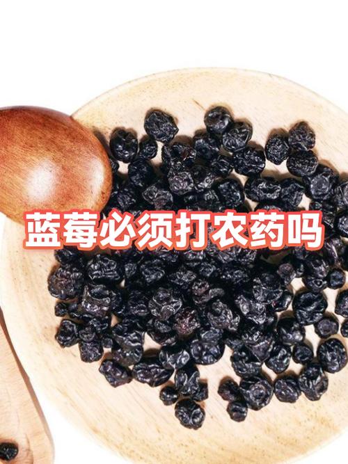蓝莓为何要尽量少吃