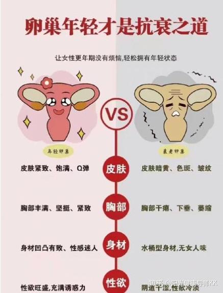 影响女性衰老的原因