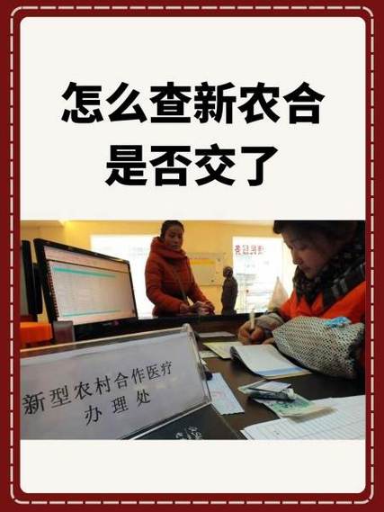 查询家人新农合缴费记录