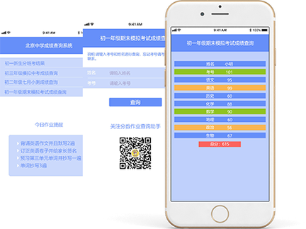 c30成绩查询登录入口图标