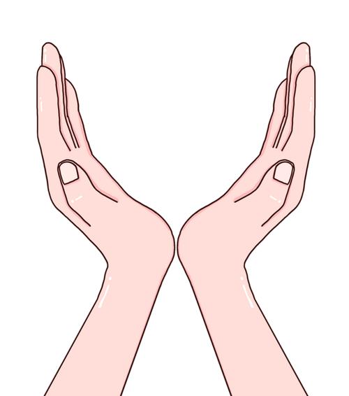双手托举logo