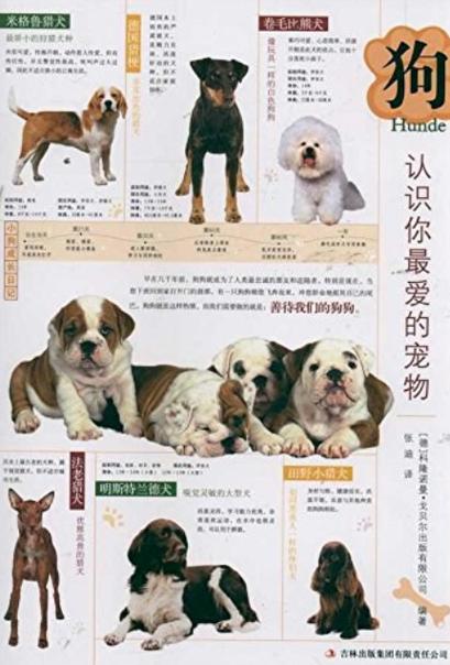 关于狗的书籍有哪些