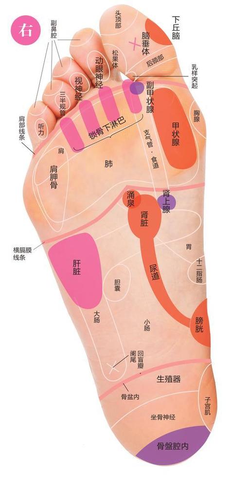 让脚心怕痒的秘诀图标