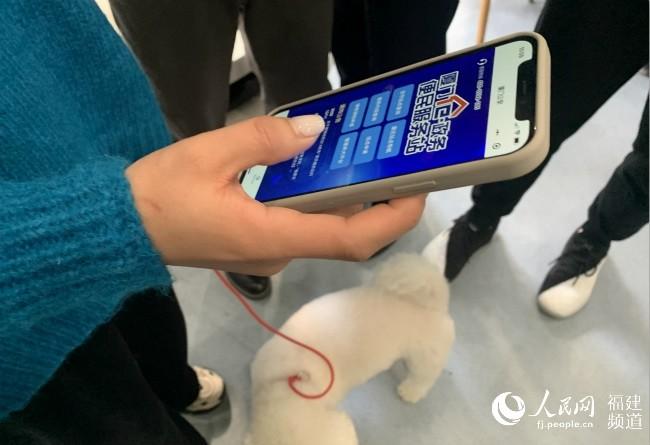 办狗证微信小程序