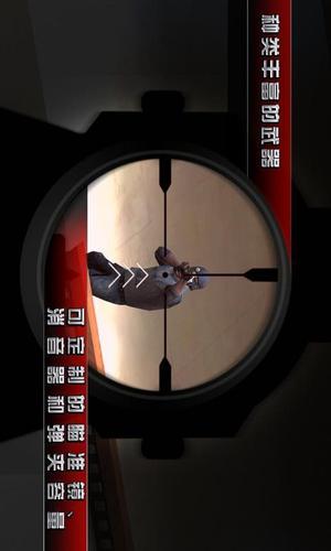 杀手二影子