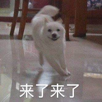 来了来了表情包