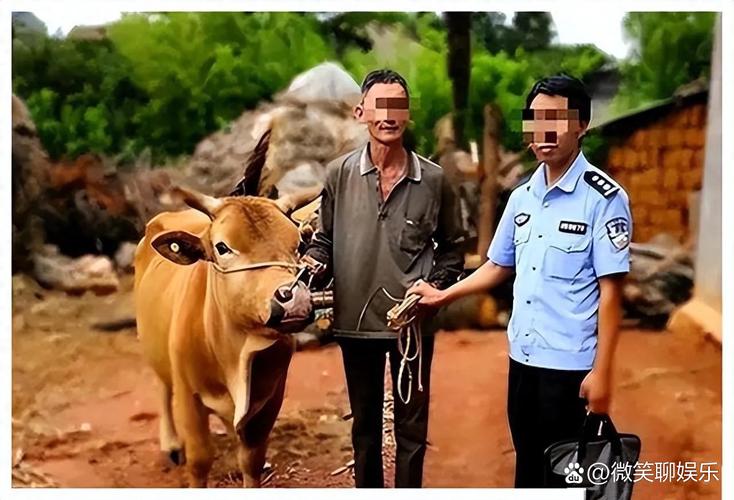 自家牛被偷了还能找到吗图标