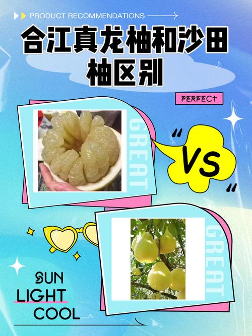 真龙柚和沙田柚区别
