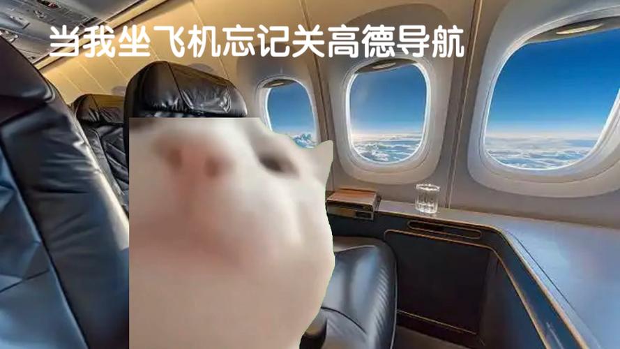 坐飞机忘关手机没事吧