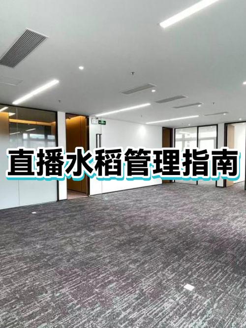 直播间违规警告提示语大全