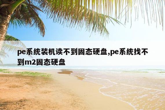 pe找不到固态硬盘m2缩略图