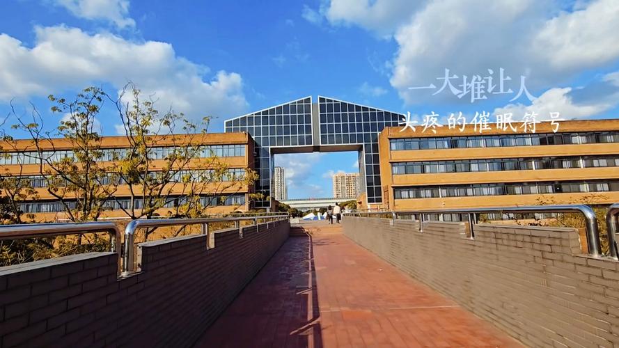 我的大学生活精彩片段