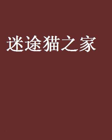 迷途猫小说