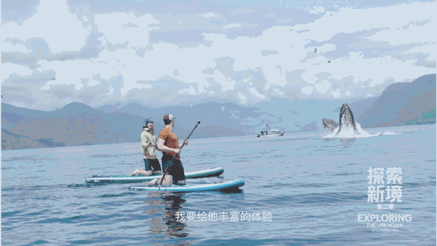 新的陌陌号没人打招呼