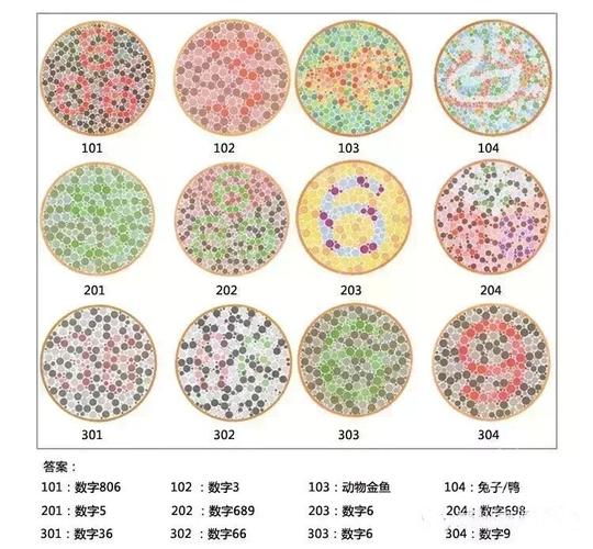 色盲测试图第五版及答案大全