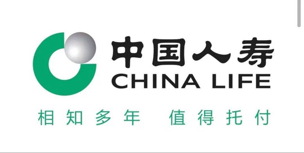 中国人寿保险官方网站游戏截图