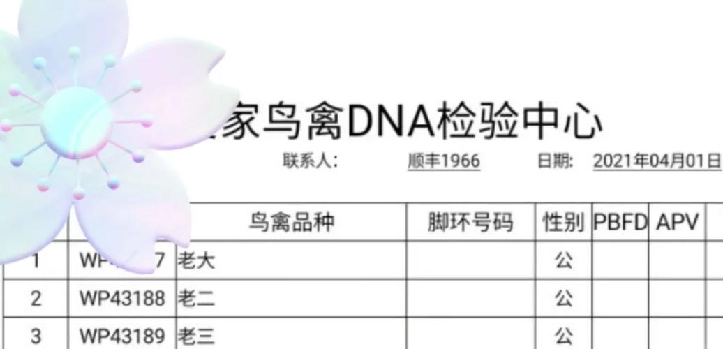 鹦鹉怎么验卡需要什么
