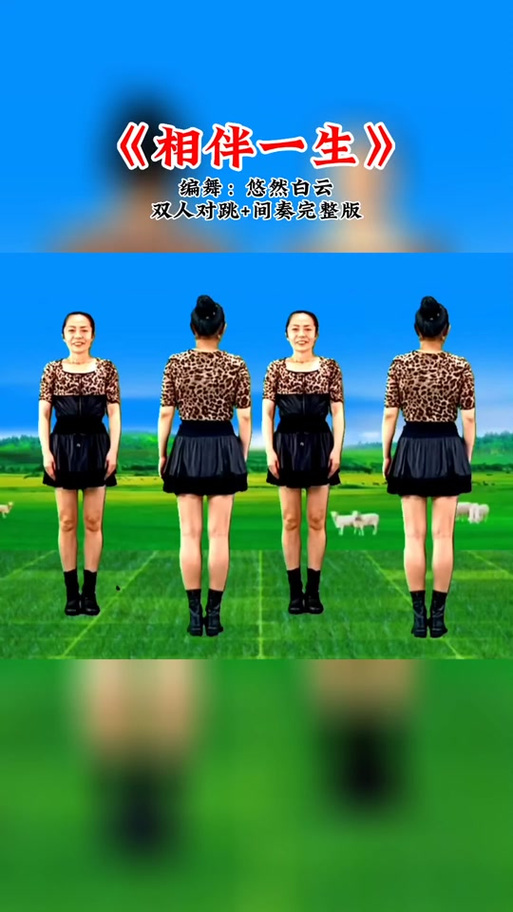 二人对跳的广场舞大全
